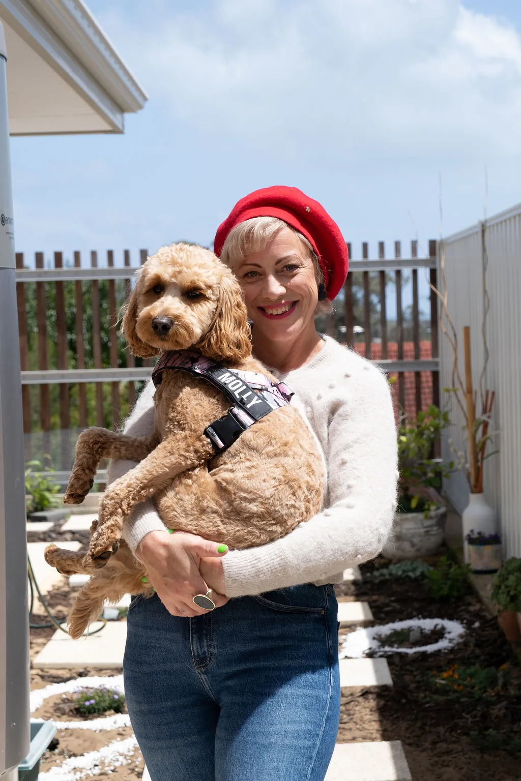 a cute dog that looks like a goodle but is a mini size wearing a bandana